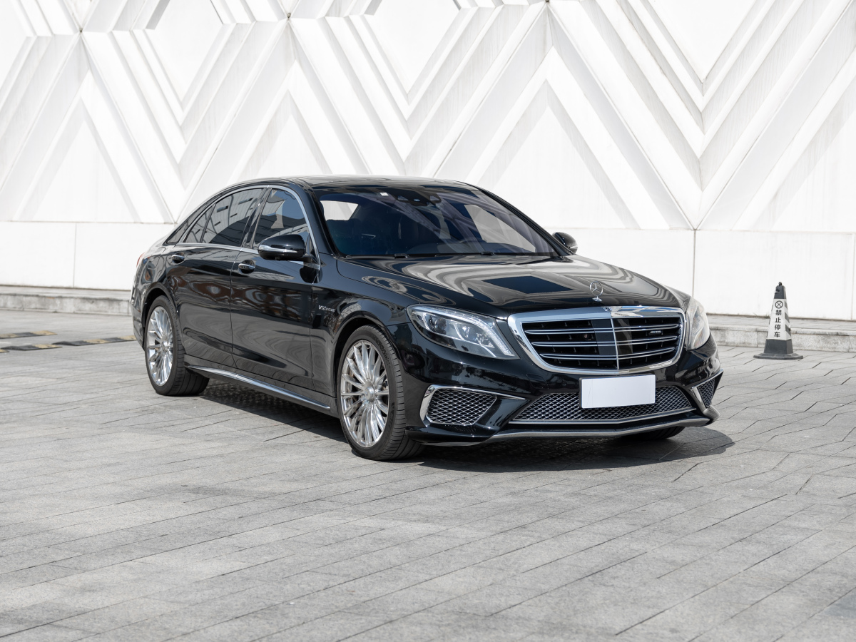 奔馳 奔馳S級AMG  2014款 AMG S 65 L圖片