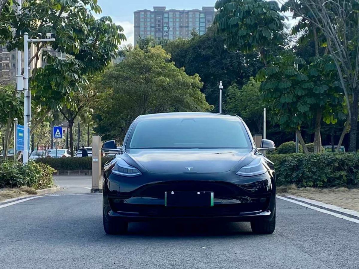 特斯拉 Model 3  2020款 標準續(xù)航后驅(qū)升級版圖片