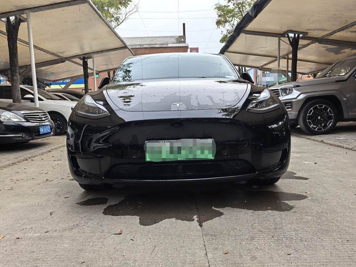 特斯拉 Model 3  2020款 改款 長續(xù)航后輪驅(qū)動版圖片