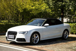 奧迪A5 奧迪 Cabriolet 45 TFSI