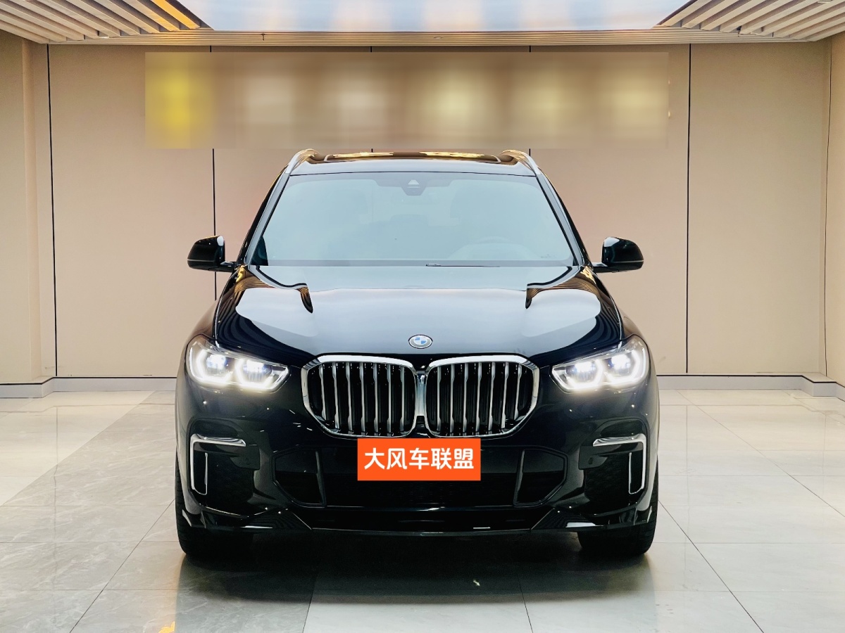 寶馬 寶馬X5  2022款 改款 xDrive 40Li M運(yùn)動(dòng)套裝圖片