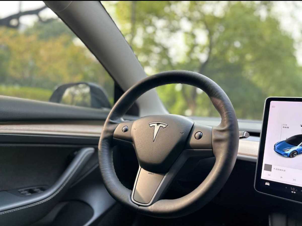 特斯拉 Model 3  2019款 標(biāo)準(zhǔn)續(xù)航后驅(qū)升級(jí)版圖片