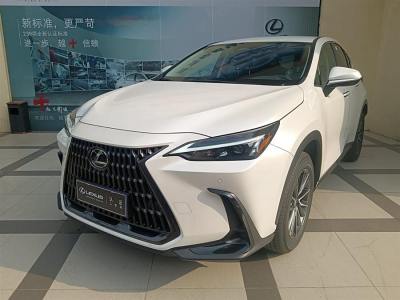 2023年1月 雷克薩斯 NX 260 前驅(qū) 創(chuàng)馳版圖片