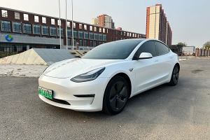 Model 3 特斯拉 长续航全轮驱动版