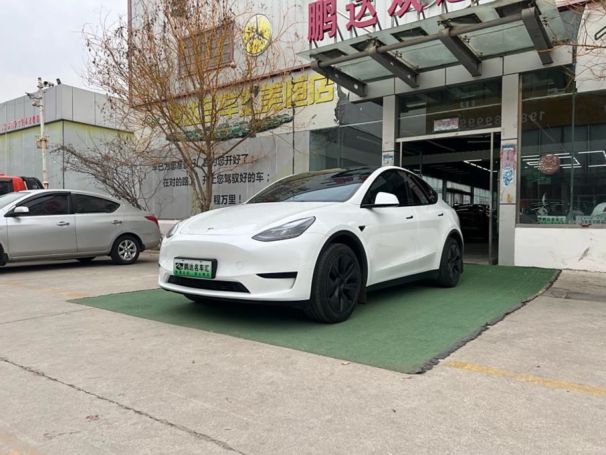 特斯拉 Model 3  2020款 改款 長(zhǎng)續(xù)航后輪驅(qū)動(dòng)版圖片