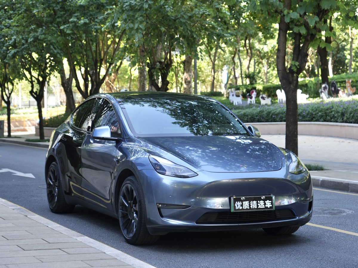 特斯拉 Model Y  2021款 長續(xù)航全輪驅(qū)動版 3D7圖片