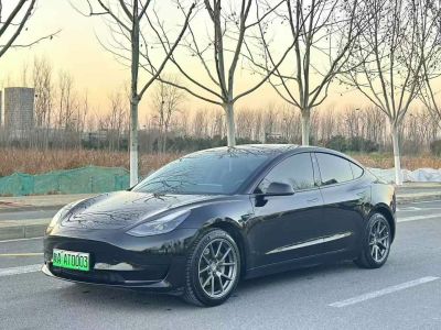 2023年1月 特斯拉 Model S 三電機全輪驅(qū)動 Plaid版圖片