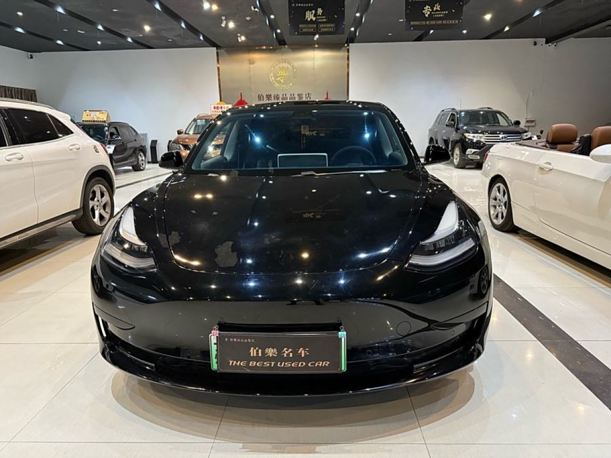 特斯拉 Model 3  2019款 標(biāo)準(zhǔn)續(xù)航后驅(qū)升級版圖片