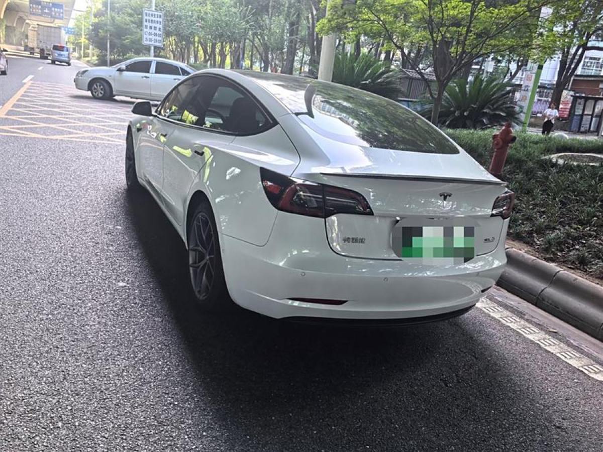 特斯拉 Model 3  2020款 改款 長(zhǎng)續(xù)航后輪驅(qū)動(dòng)版圖片