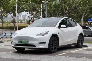 Model Y 特斯拉 改款 長續(xù)航全輪驅(qū)動版
