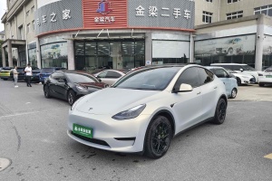 Model Y 特斯拉 后轮驱动版