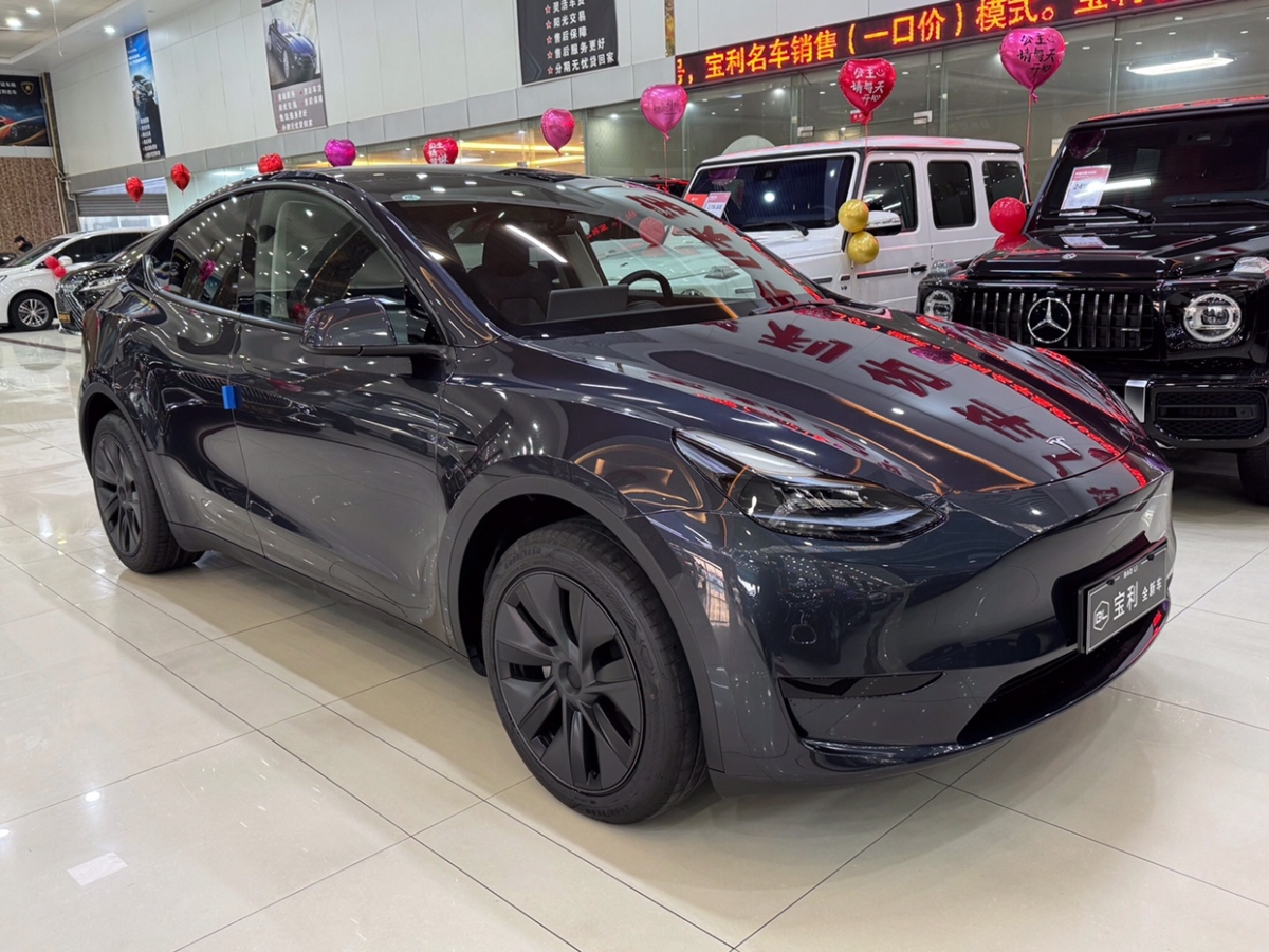 特斯拉 Model Y  2024款 后輪驅(qū)動(dòng)版圖片