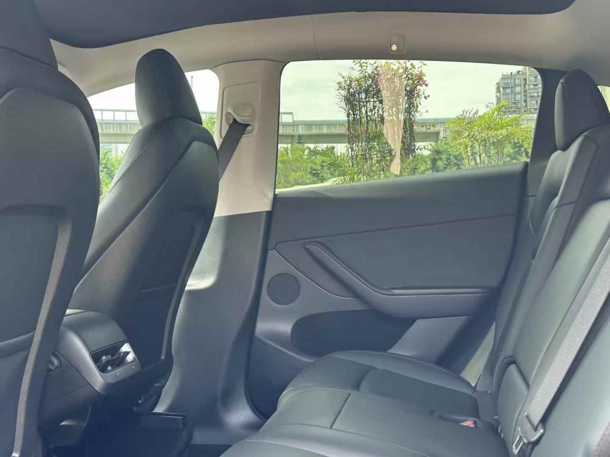 特斯拉 Model Y  2022款 Performance高性能全輪驅(qū)動(dòng)版圖片