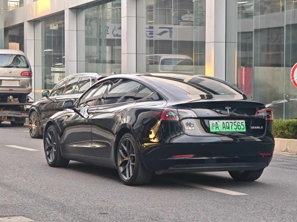 特斯拉 Model 3  2019款 Performance高性能全輪驅(qū)動版圖片