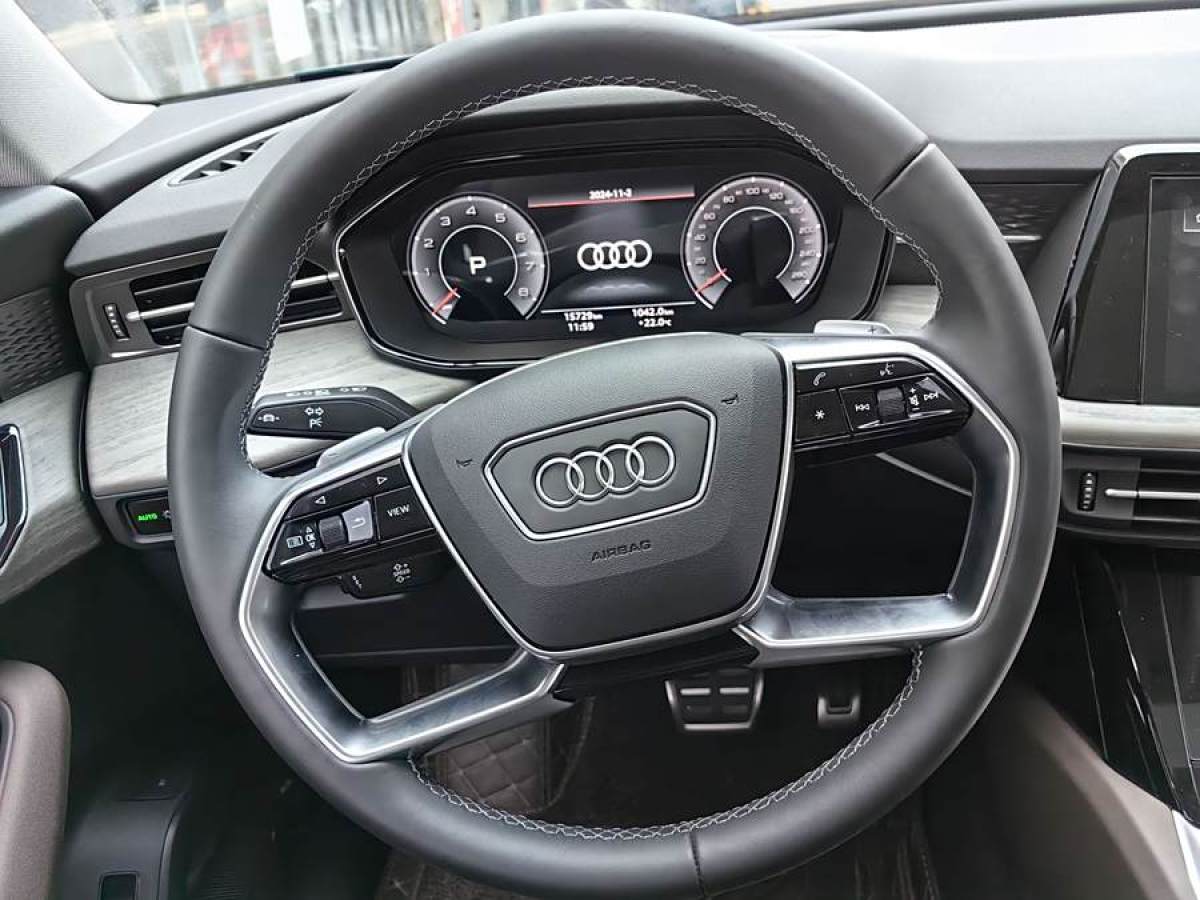 奧迪 奧迪Q6  2022款 45 TFSI quattro 齊云型 羽林套裝圖片