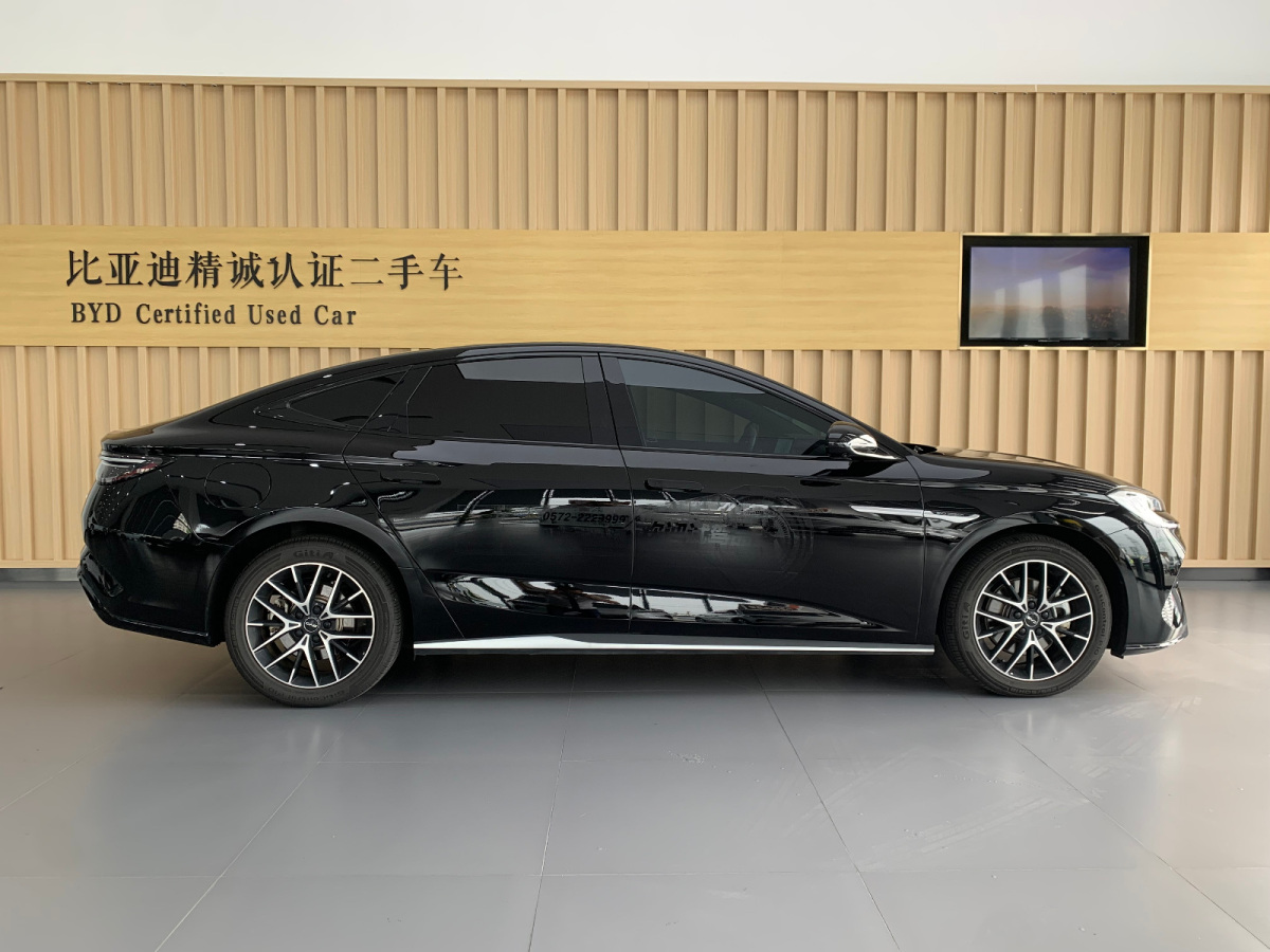 比亞迪 海豹  2023款 DM-i 1.5L 121km 尊貴型圖片