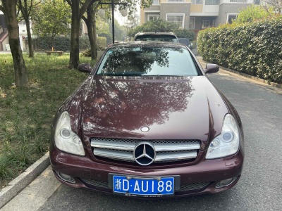 2010年10月 奔驰 奔驰CLS级(进口) 改款 CLS 300 动感型图片