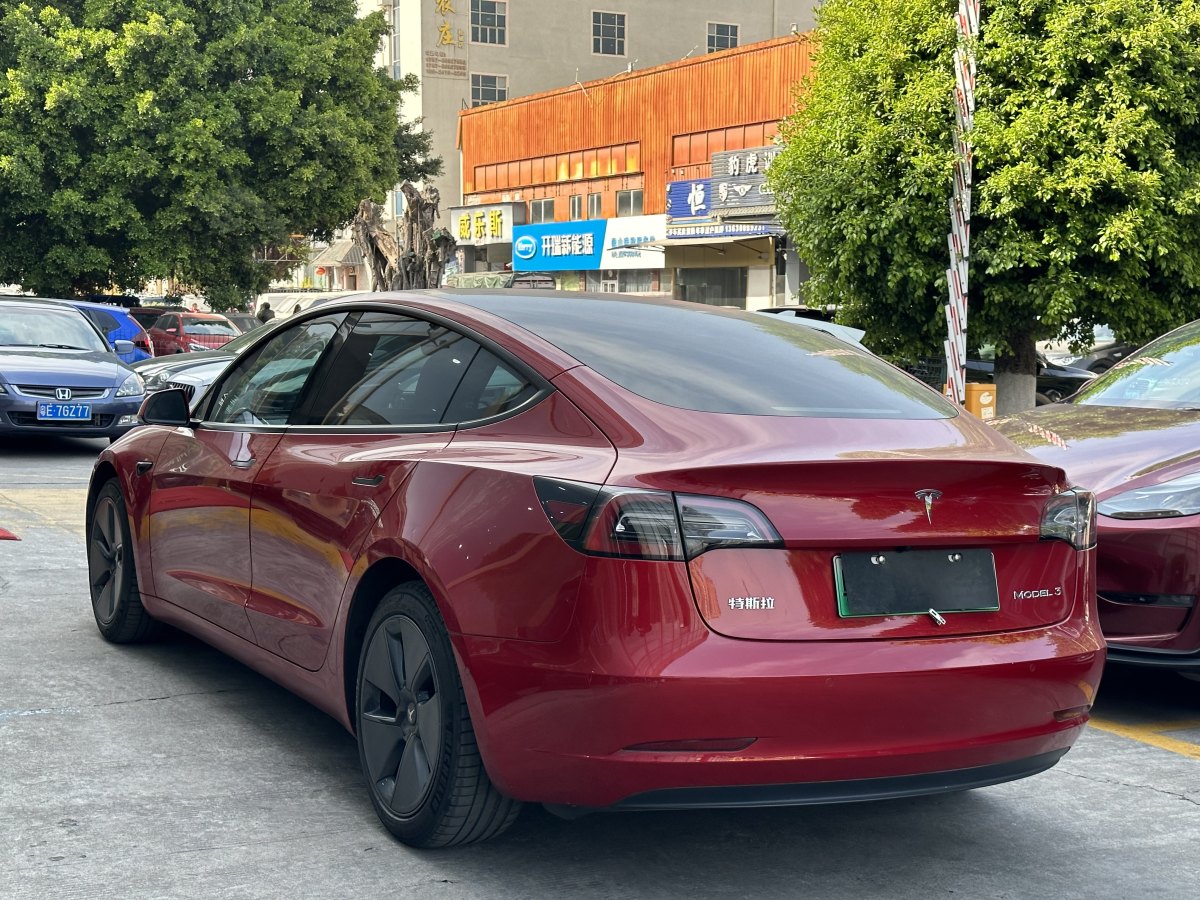 特斯拉 Model 3  2021款 標(biāo)準(zhǔn)續(xù)航后驅(qū)升級(jí)版 3D6圖片