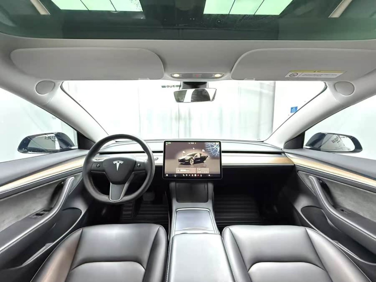 特斯拉 Model 3  2022款 后輪驅(qū)動(dòng)版圖片