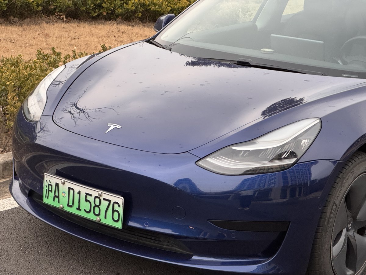 特斯拉 Model 3  2019款 標(biāo)準(zhǔn)續(xù)航后驅(qū)升級版圖片