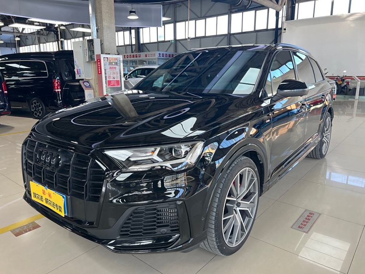 奧迪 奧迪Q7  2023款 55 TFSI quattro S line冰雪運(yùn)動(dòng)版圖片