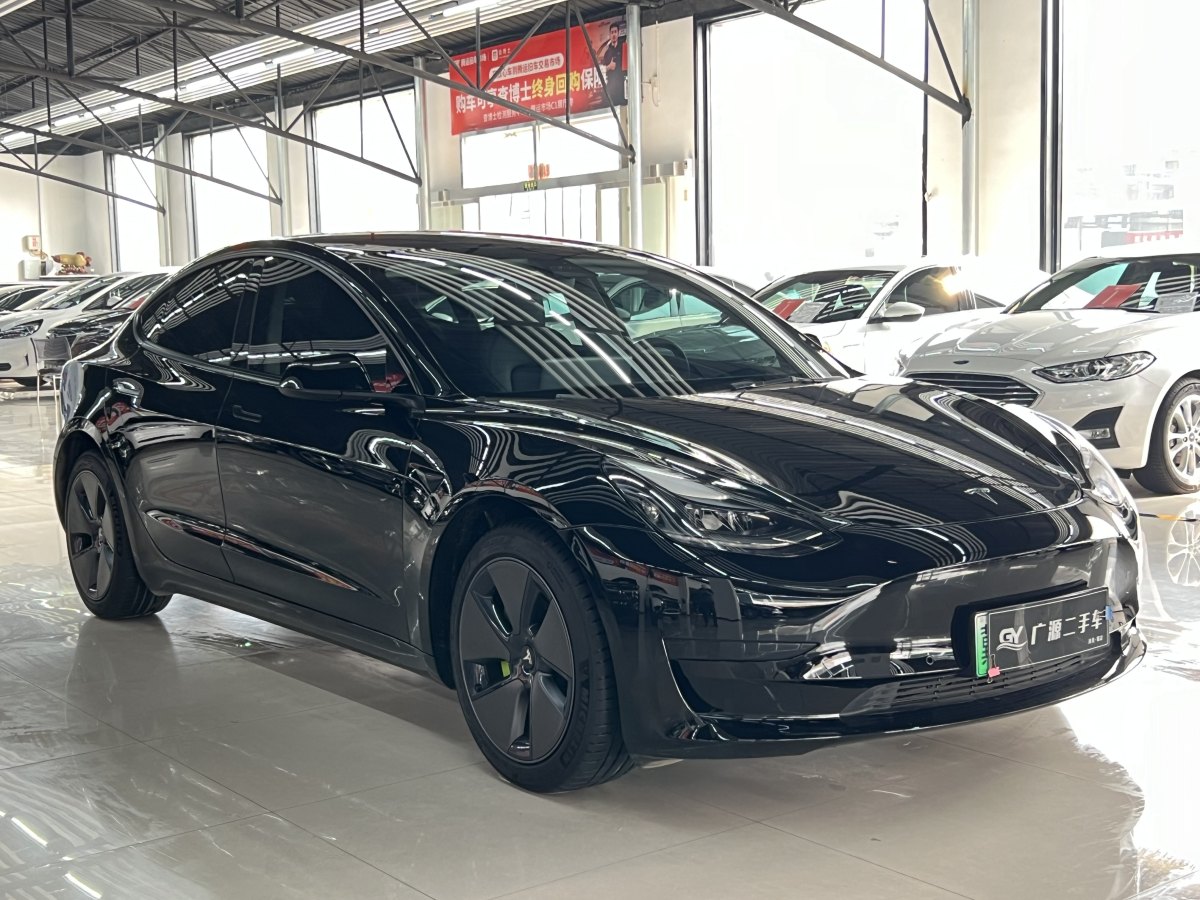 特斯拉 Model 3  2019款 標(biāo)準(zhǔn)續(xù)航后驅(qū)升級版圖片