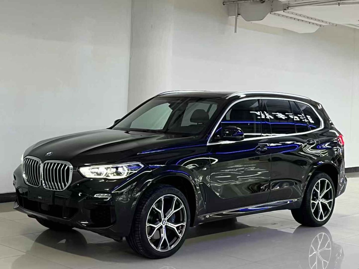 2021年1月寶馬 寶馬X5  2021款 xDrive30i X設(shè)計(jì)套裝