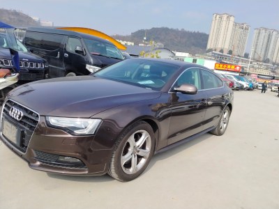 2012年12月 奧迪 奧迪A5(進(jìn)口) Sportback 40 TFSI圖片