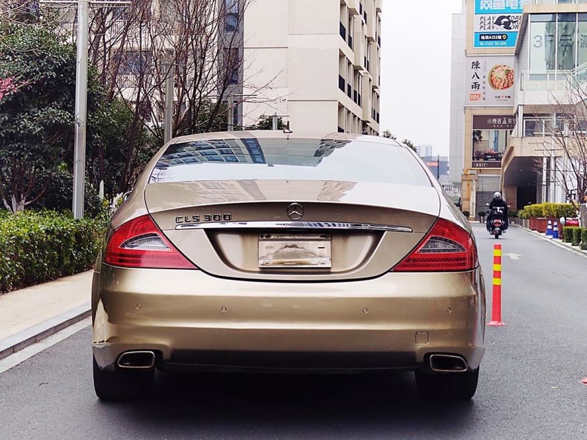 奔馳 奔馳CLS級  2009款 CLS 300圖片