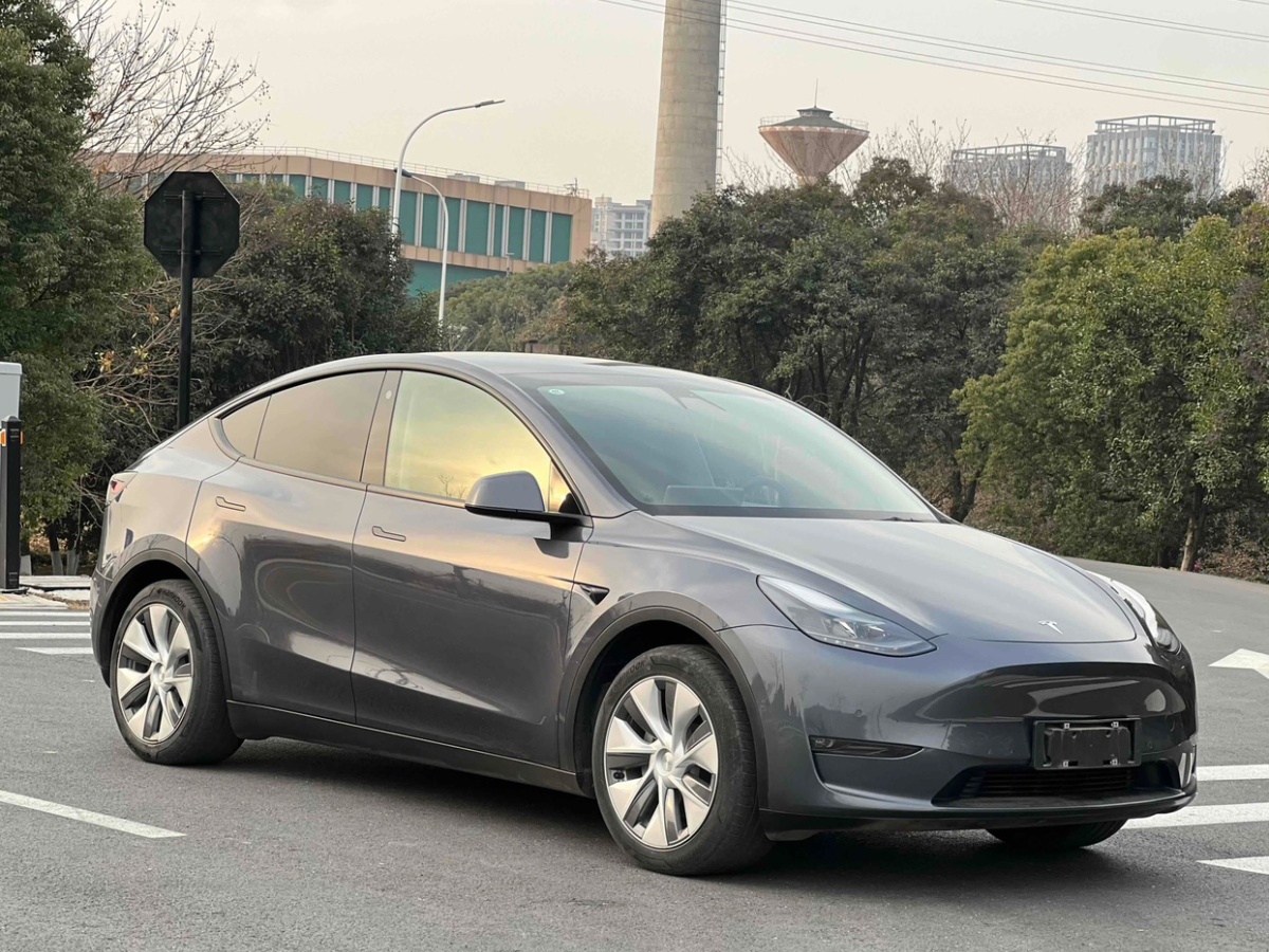 特斯拉 Model 3  2021款 改款 標(biāo)準(zhǔn)續(xù)航后驅(qū)升級版圖片