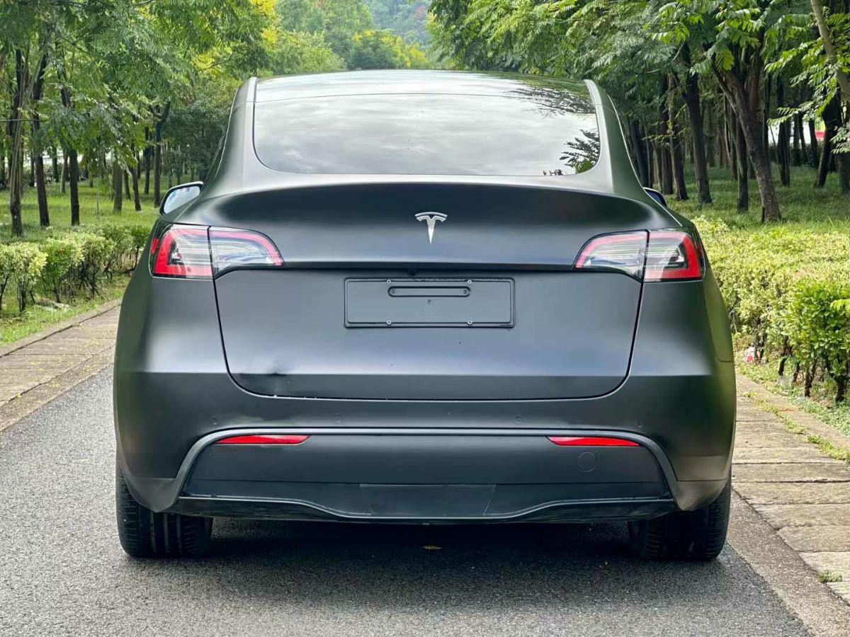 特斯拉 Model Y  2022款 Performance高性能全輪驅(qū)動版圖片