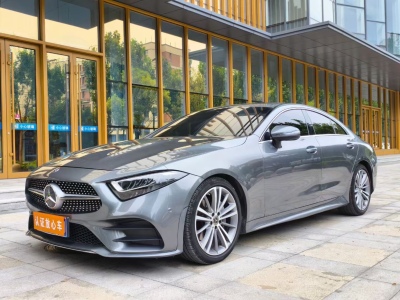 2020年08月 奔驰 奔驰CLS级(进口) CLS 300 动感型图片