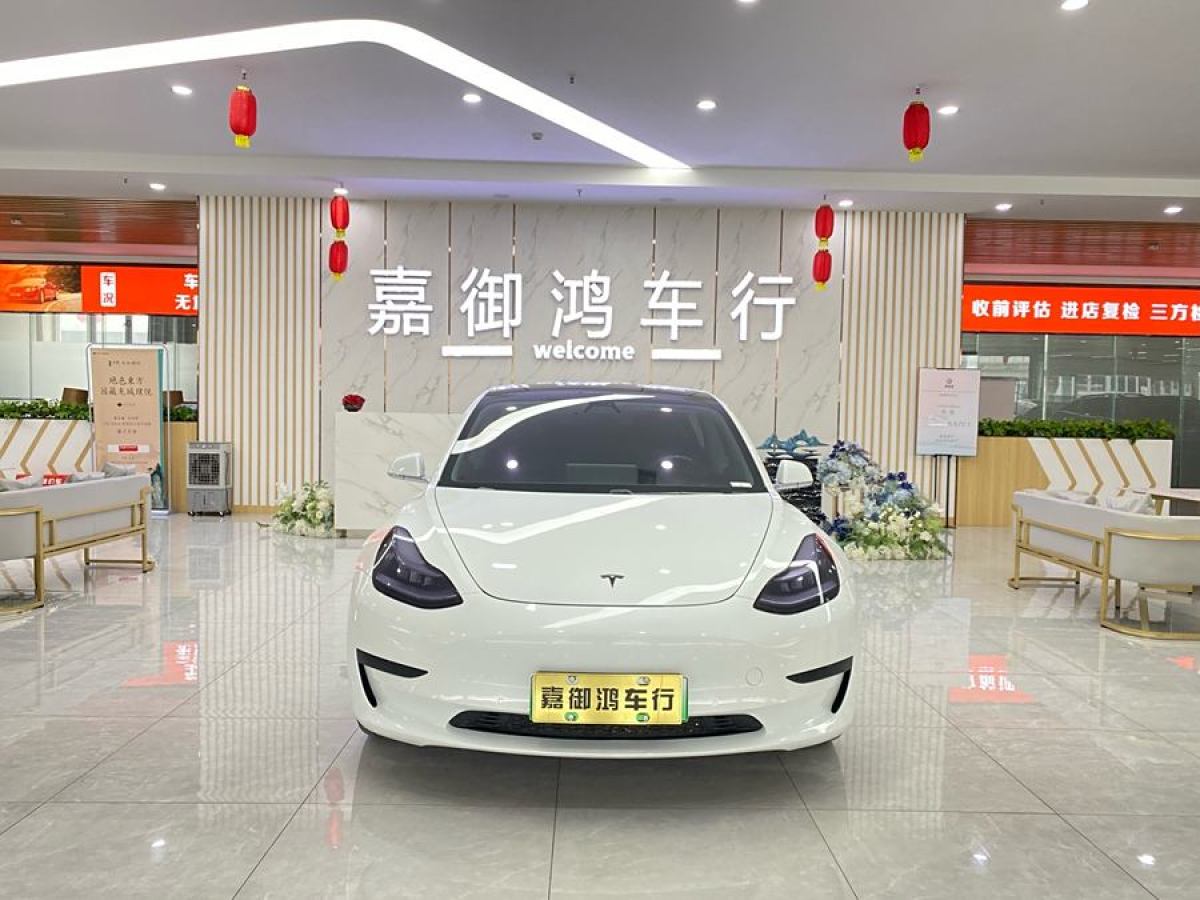 特斯拉 Model 3  2019款 標(biāo)準(zhǔn)續(xù)航后驅(qū)升級版圖片