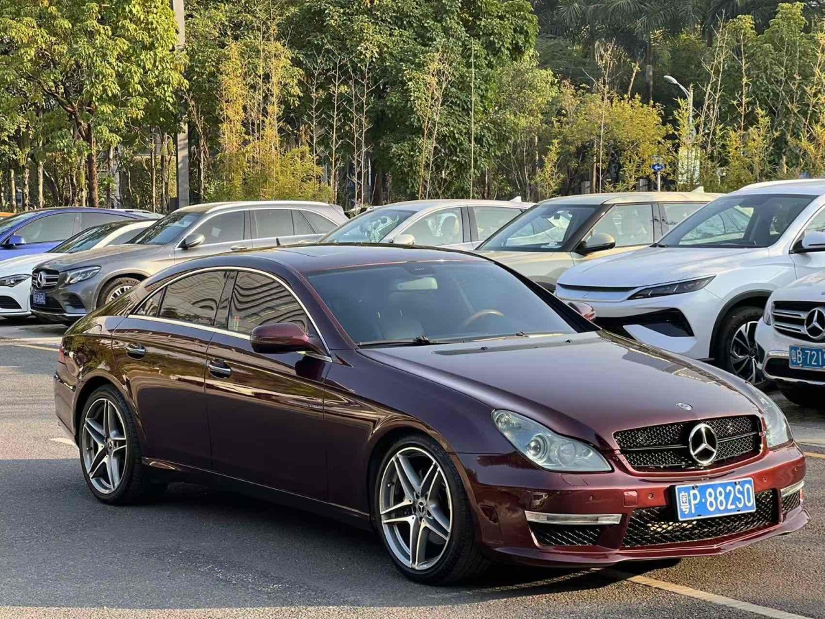 奔馳 奔馳CLS級  2009款 CLS 300圖片