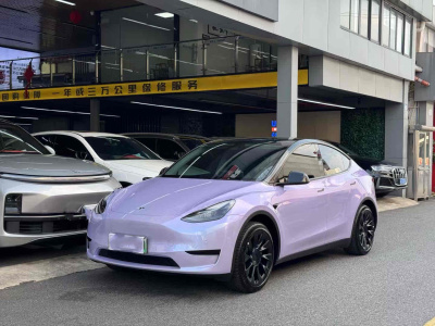 2023年11月 特斯拉 Model Y 煥新版 后輪驅(qū)動(dòng)圖片