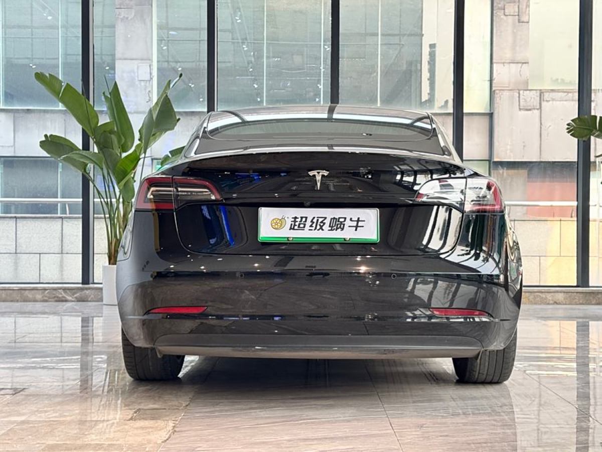 特斯拉 Model 3  2019款 長續(xù)航后驅(qū)版圖片