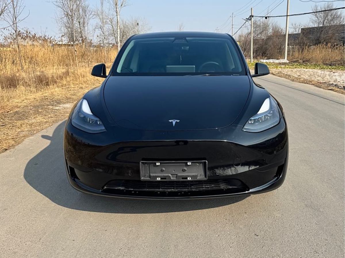 2023年3月特斯拉 Model 3  2020款 改款 長(zhǎng)續(xù)航后輪驅(qū)動(dòng)版