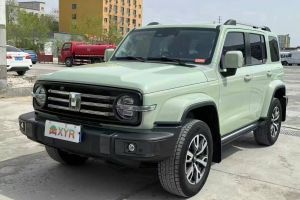 坦克300 坦克 2.0T 坦克游俠