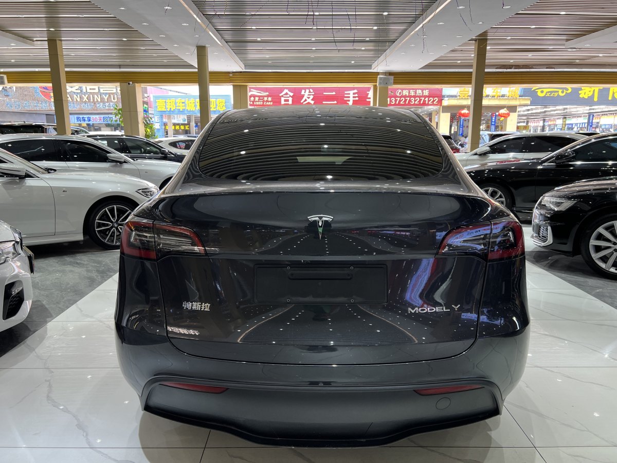 特斯拉 Model Y  2020款 改款 長續(xù)航后輪驅(qū)動版圖片