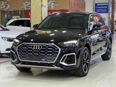 2023年7月 奥迪 奥迪Q5 e-tron 40 e-tron 星耀型 影武士版图片