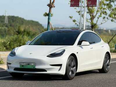 2021年1月 特斯拉 Model Y 改款 標(biāo)準(zhǔn)續(xù)航后驅(qū)升級(jí)版圖片