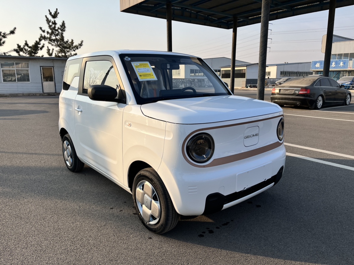 吉利 熊貓mini  2024款 熊貓mini 200km 耐力熊圖片