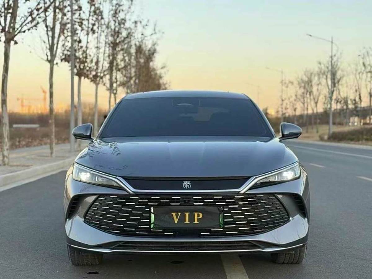 比亞迪 秦PLUS  2023款 冠軍版 EV 510KM超越型圖片