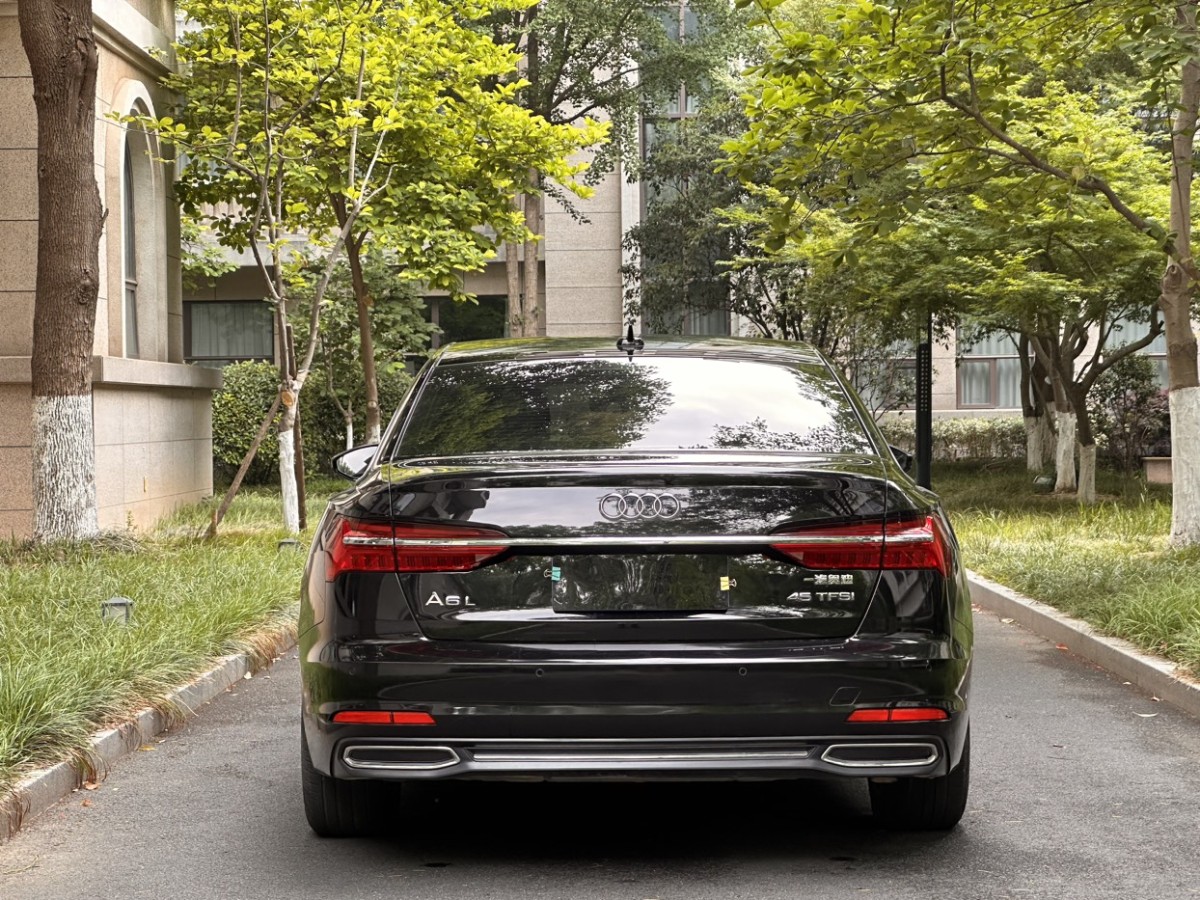 奧迪 奧迪A6L  2020款 45 TFSI 臻選致雅型圖片