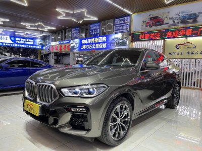 2021年4月 寶馬 寶馬X6(進(jìn)口) xDrive40i M運(yùn)動(dòng)套裝圖片