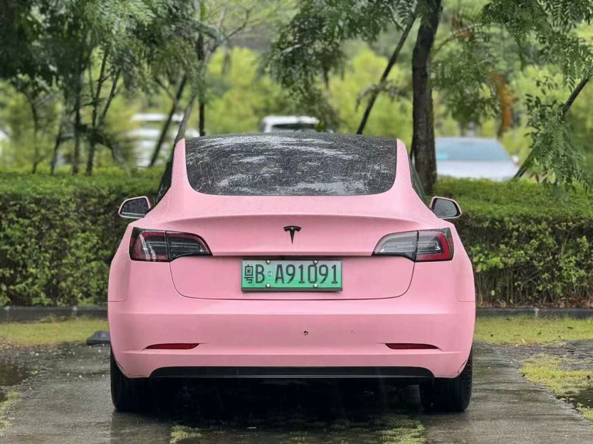 特斯拉 Model 3  2020款 標(biāo)準(zhǔn)續(xù)航后驅(qū)升級版圖片