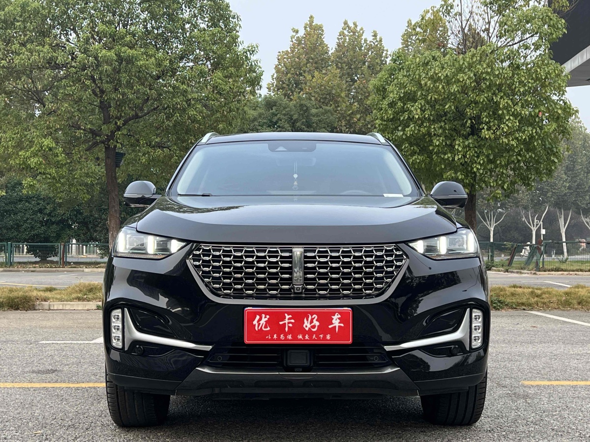 WEY VV6  2021款 2.0T 兩驅(qū)智護(hù)+圖片