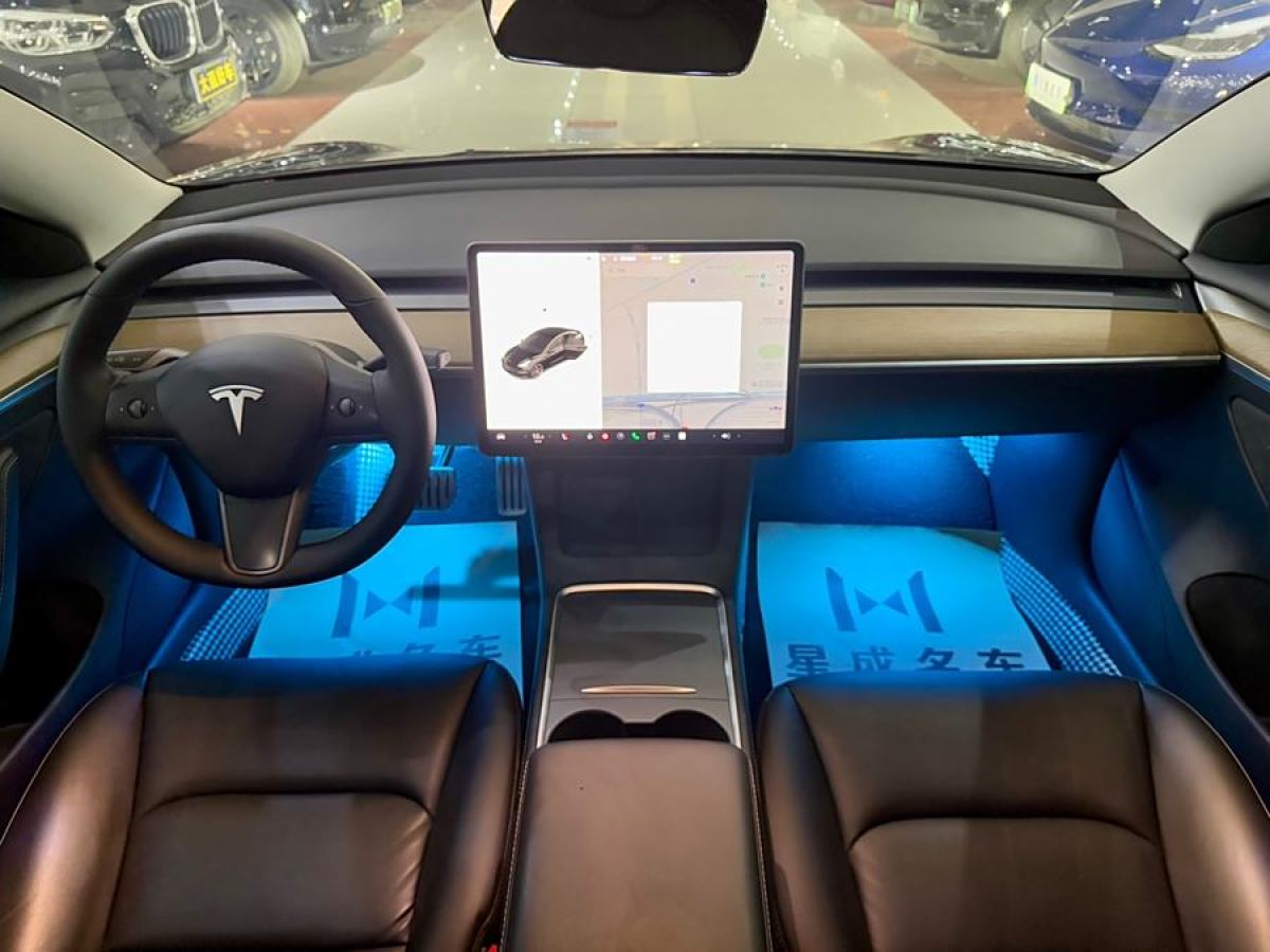 特斯拉 Model 3  2019款 Performance高性能全輪驅(qū)動(dòng)版圖片