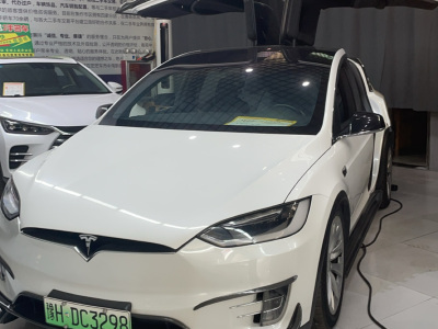 2018年7月 特斯拉 Model X Model X 90D图片