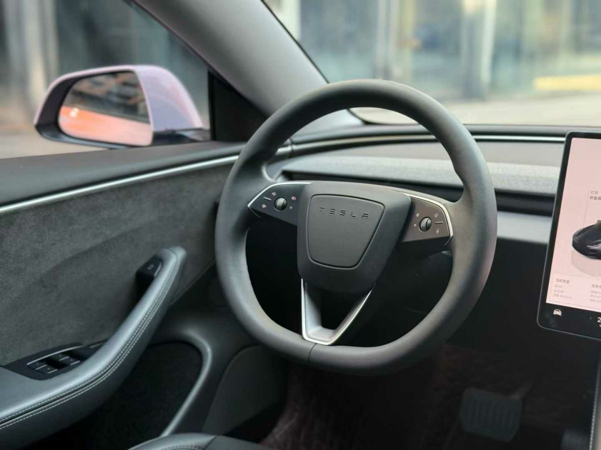 特斯拉 Model Y  2024款 Performance高性能版圖片